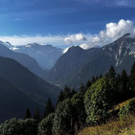 L'ourson Champagny * La Plagne