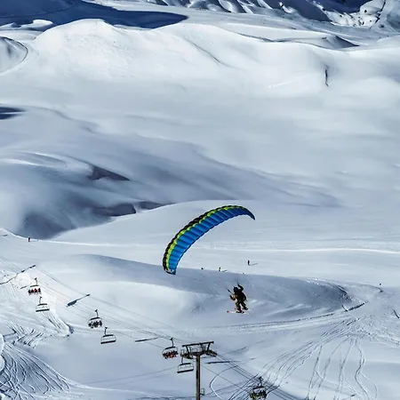 L'ourson Champagny *